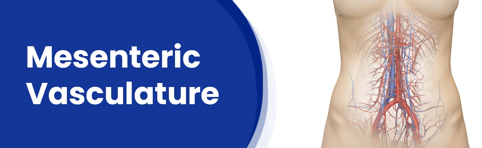 vascular_Surgery_services/varicose_veins_title_image_one_stop_vascular_solutions